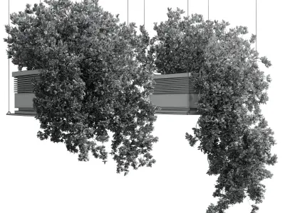 collection outdoor Indoor plants hanging pot 14-metal bax vase  3D model