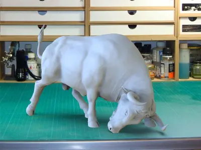 BULL ON THE CORRIDA 3D print model