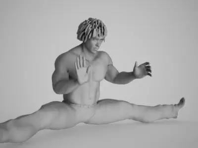 Karate Exercise 3D print model