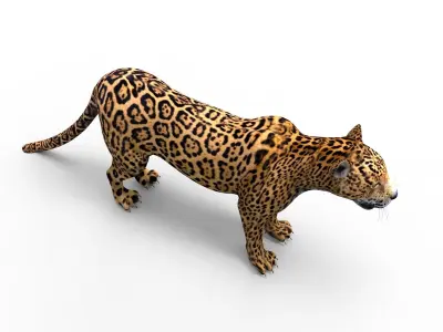 3D Leopard low poly model jaguar Low-poly 3D model