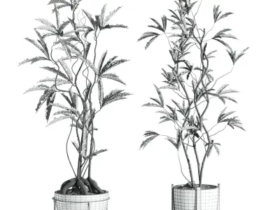 Plants Set 3D model buy