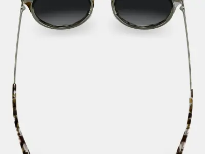 Cleo Sunglasses in Pearled Tortoise with Riesling 3D model