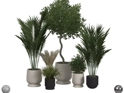 Plant collection  3D model