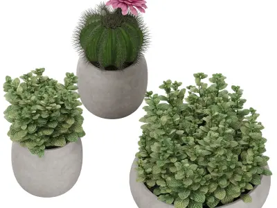Set Ronan Ficonstone Indoor vs Outdoor Planters small 3D model