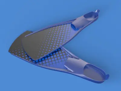 Flippers 3D model