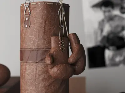 DIY Home Gym In A Box 3D model