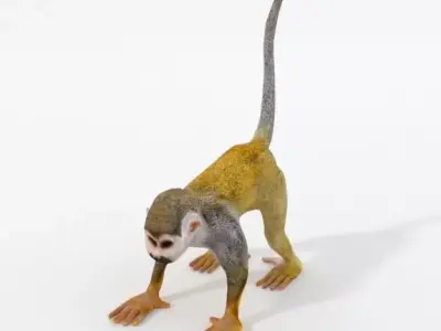 Squirrel Monkey Low-poly 3D model