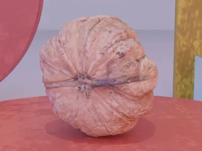 Walnut fruit 04 high-poly 3D model