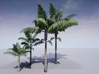 HQ Plants Volume 1 Palms for unreal engine 3D model set of 24 3D model