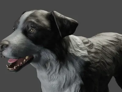 DOG - BORDER COLLIE  Low-poly 3D model