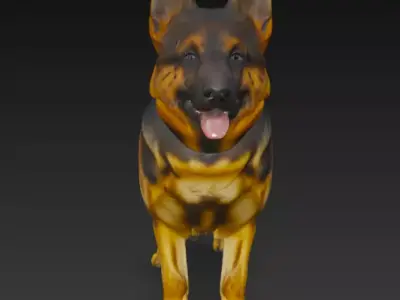 German Shepherd Dog 3d Model 3D model