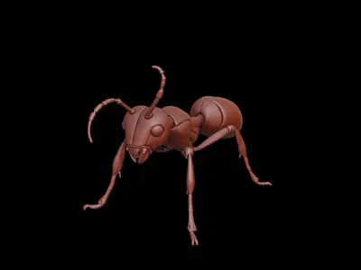 Ant Animal Sculpture 3D print model