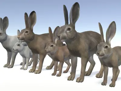 HARE FAMILY Low-poly 3D model