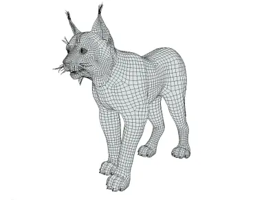 Bobcat  Low-poly 3D model