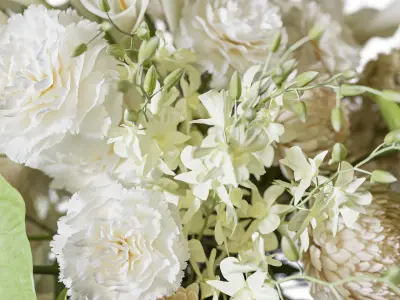 Flower Set 107 Pure Botanical Charm 3D model