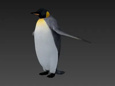 penguin Low-poly 3D model