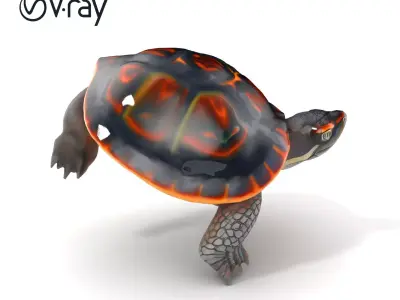 European Pond Turtle Realistic D Model Pack Low-poly 3D model