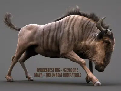 Wildebeest XGEN CORE RIGGED 3D model