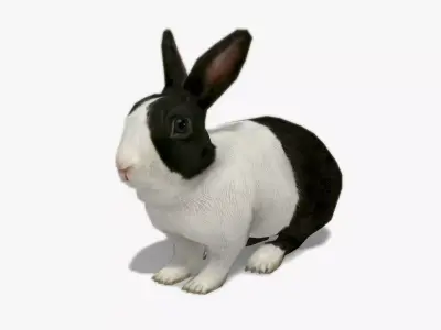 Rabbit bunny Low-poly 3D model