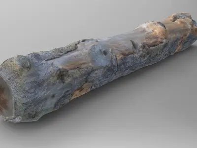Tree Logs Low-poly 3D model