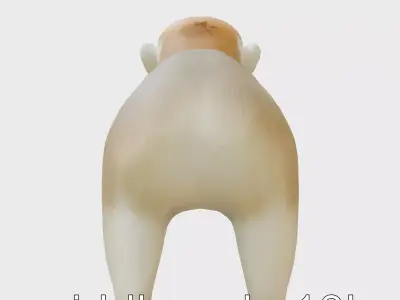 Golden Tamarin Monkey with Striking Mane 3D Model Low-poly 3D model