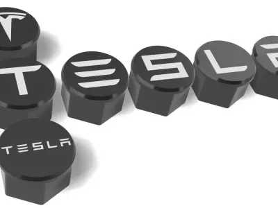 mjs2302 Tesla lug nut covers 3D print kit 3D print model