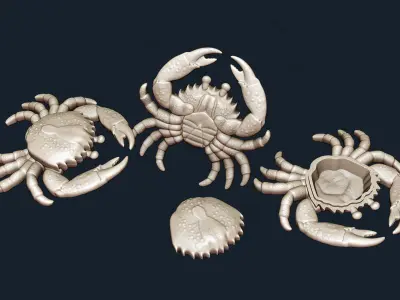 Crab Shaped Jewelry Box - Digital Files for CNC 3D model