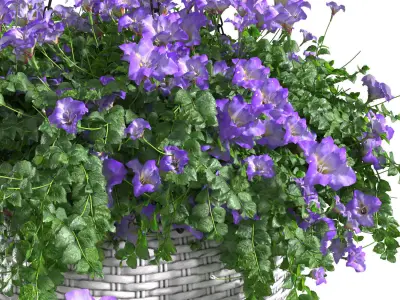 Hanging basket flowerpot rattan pot with flowers 3D model buy