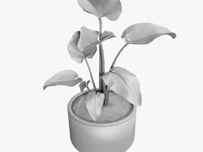 Interior Tropical Plants Vol 2 Chinese Palm Tropic Snow Bamboo Low-poly 3D model