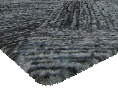 Rug Set 2197 3D model