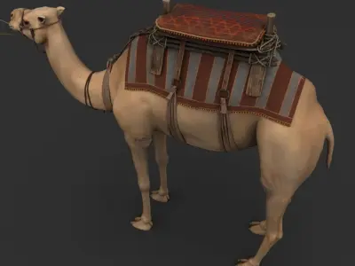 Camel with saddle 3D model