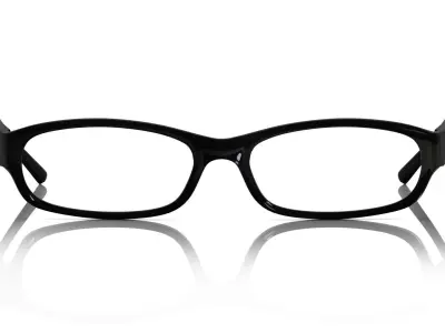 Eyeglasses for Men and Women 3D print model