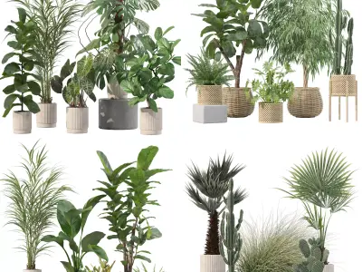 20 Photorealistic Flowers for Interiors - set 202 204 216 219 3D Model Collection