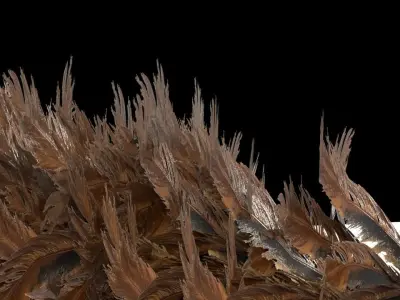 Feather Duster 3D model