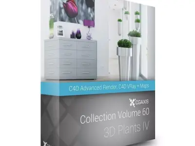 3D Plants IV CGAxis Models Volume 60 C4D 3D model