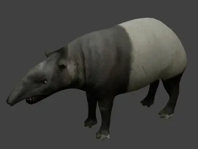 Tapir Low-poly 3D model