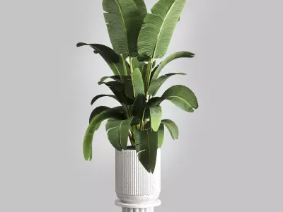 Indoor plant 80 pot plant concrete vase 3D model
