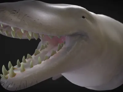 Basilosaurus  Low-poly 3D model