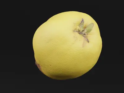 Yellow Pear Fruit 3D model