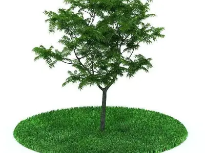 Green Leaf Tree 3D model