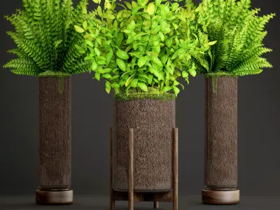 Potted plants fern  3D model