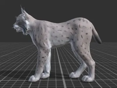 Bobcat  Low-poly 3D model