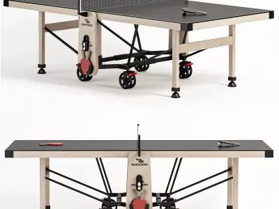 Rasson Premium W2266 Ping Pong Table 3D model