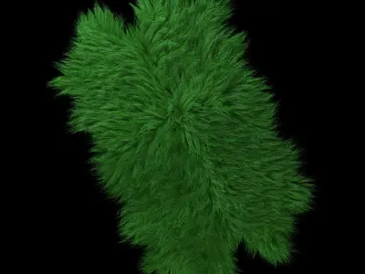 Skin longhair 3D model