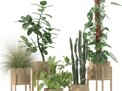 20 Photorealistic Flowers for Interiors - set 201 202 203 204 3D Model Collection