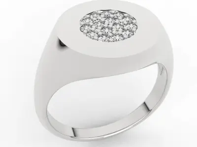 Custom Signet Ring 3D print model
