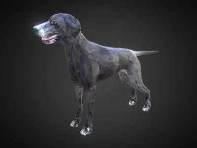 Dog Kurtshaar Grey Low Polygon Art Animal Low-poly 3D model