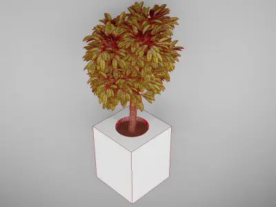 indoor tree Free 3D model