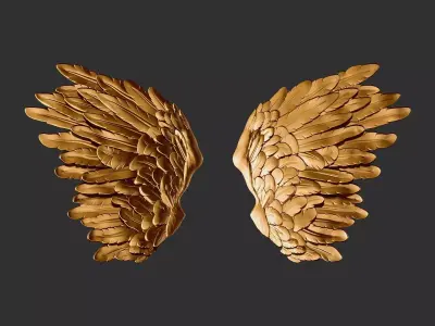 Wings 3D print model