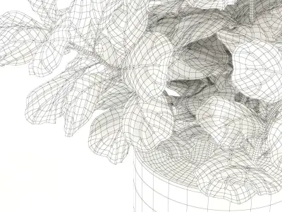 Plants collection 98 3D model